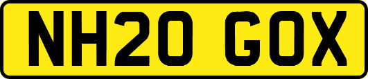NH20GOX