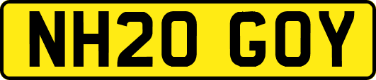 NH20GOY