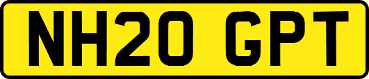 NH20GPT