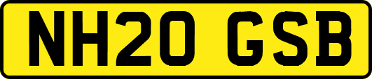 NH20GSB