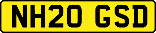 NH20GSD
