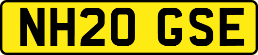 NH20GSE