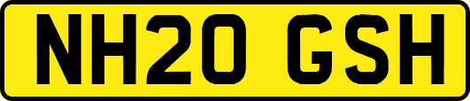 NH20GSH