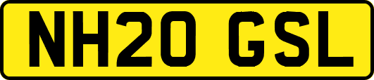 NH20GSL