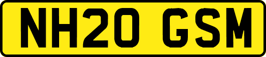 NH20GSM