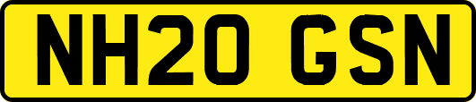 NH20GSN