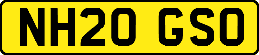 NH20GSO