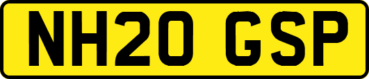 NH20GSP