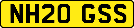 NH20GSS