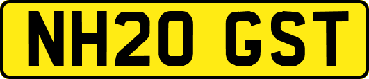 NH20GST