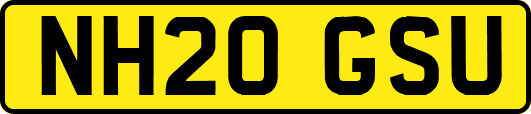 NH20GSU