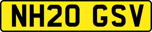 NH20GSV