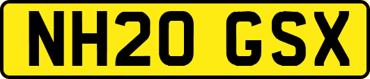 NH20GSX