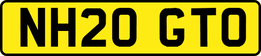 NH20GTO