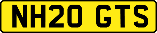 NH20GTS