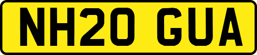 NH20GUA