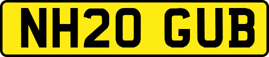 NH20GUB