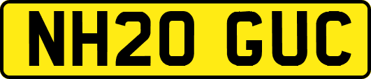 NH20GUC