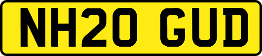 NH20GUD