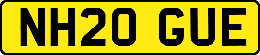 NH20GUE