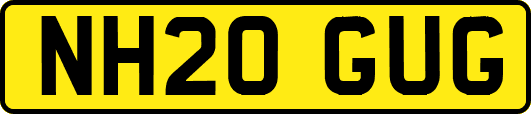 NH20GUG