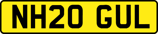NH20GUL