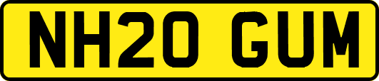 NH20GUM