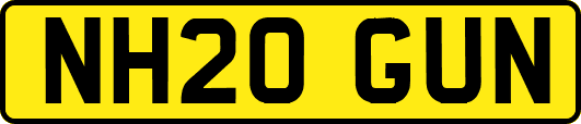 NH20GUN