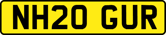 NH20GUR