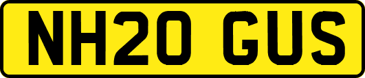 NH20GUS