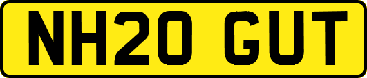 NH20GUT