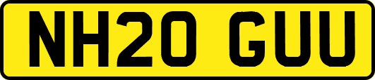 NH20GUU