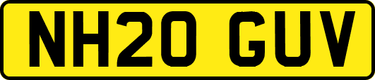 NH20GUV