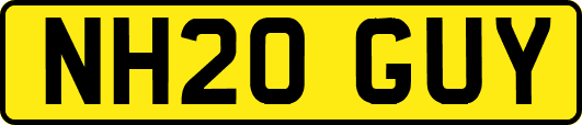 NH20GUY