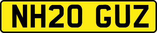 NH20GUZ