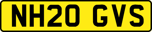 NH20GVS