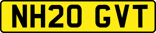 NH20GVT