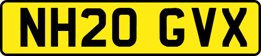 NH20GVX