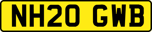 NH20GWB
