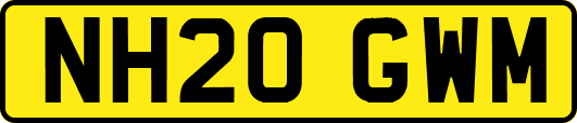 NH20GWM