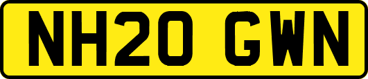 NH20GWN