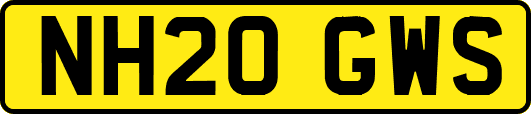 NH20GWS