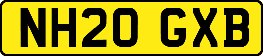 NH20GXB