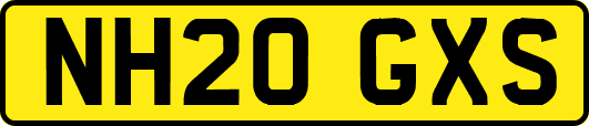 NH20GXS