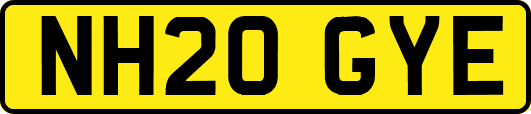 NH20GYE