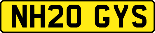 NH20GYS
