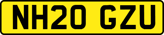 NH20GZU
