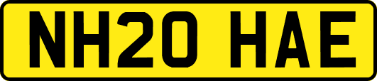 NH20HAE