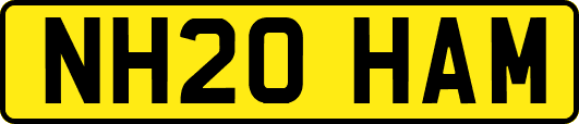 NH20HAM