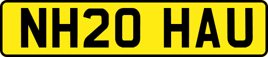NH20HAU